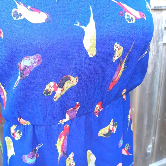 👗3/25& 👗Blue Maxi Dress with Colorful Birds - Picture 7 of 7